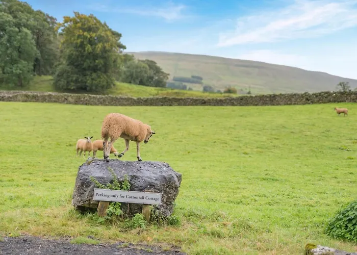 度假居 2 Bed In Oc-c33371